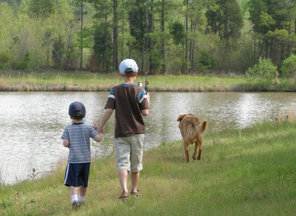 pond walk